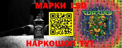 соль ск Камышлов